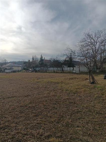 Teren 3500mp. Paun Bucium la asfalt cu toate utilitatile - 2