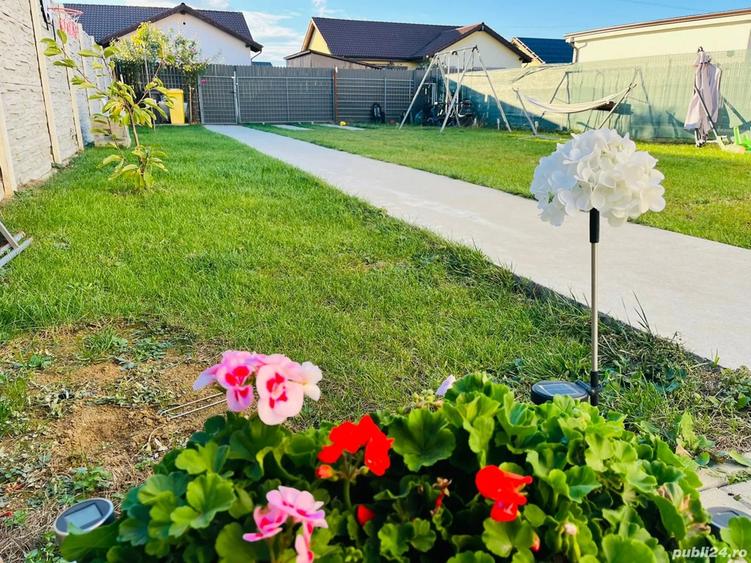 Proprietar vad casa Mosnita Veche tip SAD - 1