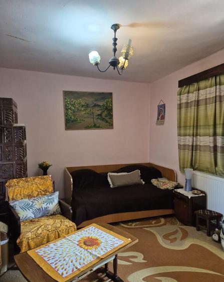 Baia Sprie, casa cu etaj ,10 ari teren - 3