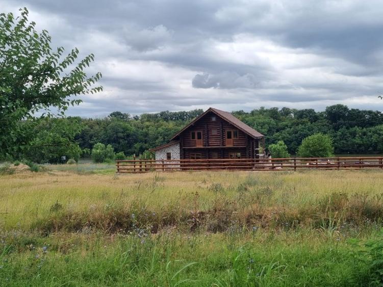 Casa modernizată în 2024 din bușteni de brad - 3