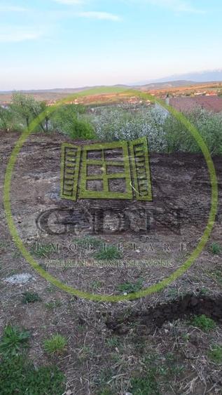 Teren intravilan - 1000 mp - Daia Noua - 2