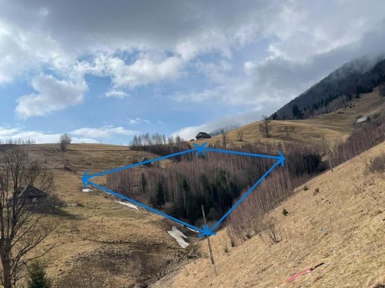 VÂNZARE TEREN CU POTENȚIAL DE DEZVOLTARE ÎN ZONA TURISTICĂ MAGURA-PESTERA - 4