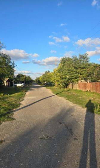 Teren Intravilan 4000 mp Potarnichea comuna Topraisar,utilitati langa - 4