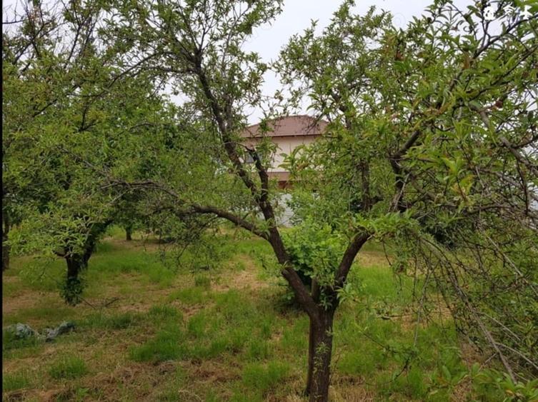 Teren de 811 mp, în Giroc