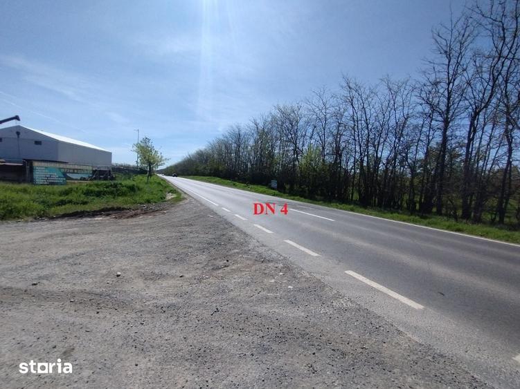 Teren de 2600 mp, în Frumușani