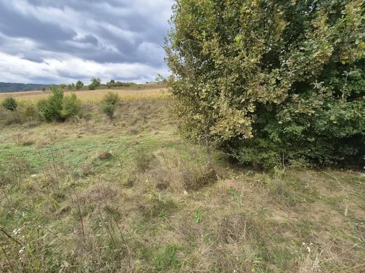 Teren Construcții intravilan de 40000 mp, în Mihăești
