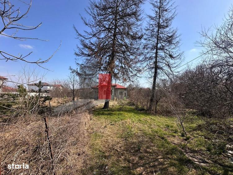 Teren 2600 mp + casa Satul Saftica - 5