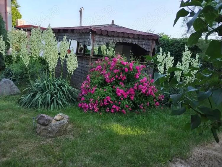 Casa in Comuna Nuci IF - 12