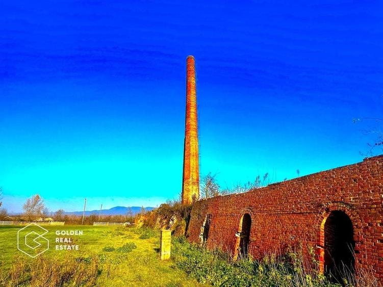 Teren intravilan 71.000mp, Barsa, Renumita Fabrica de caramida si casa 4 camere - 1