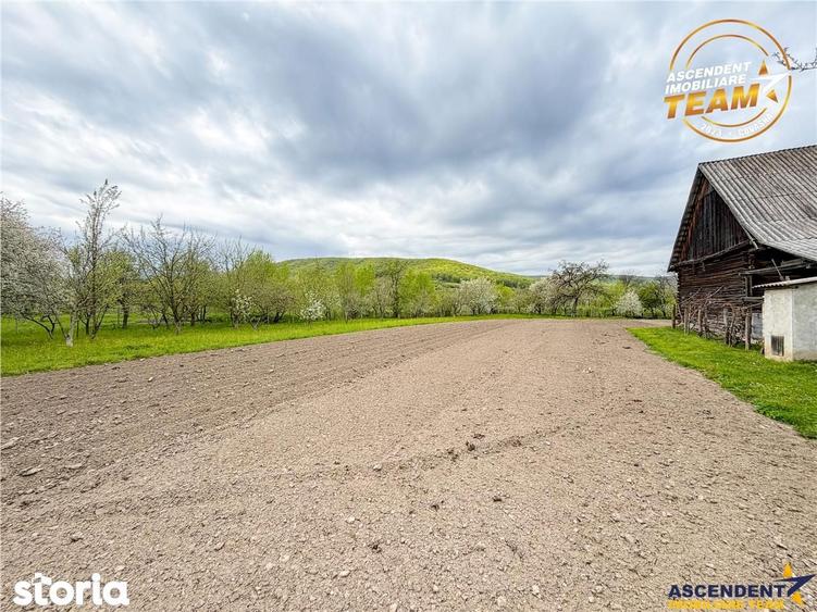 Casa cu farmec rustic + teren privat de 3.315 mp, Borosneul Mic, Covas - 18