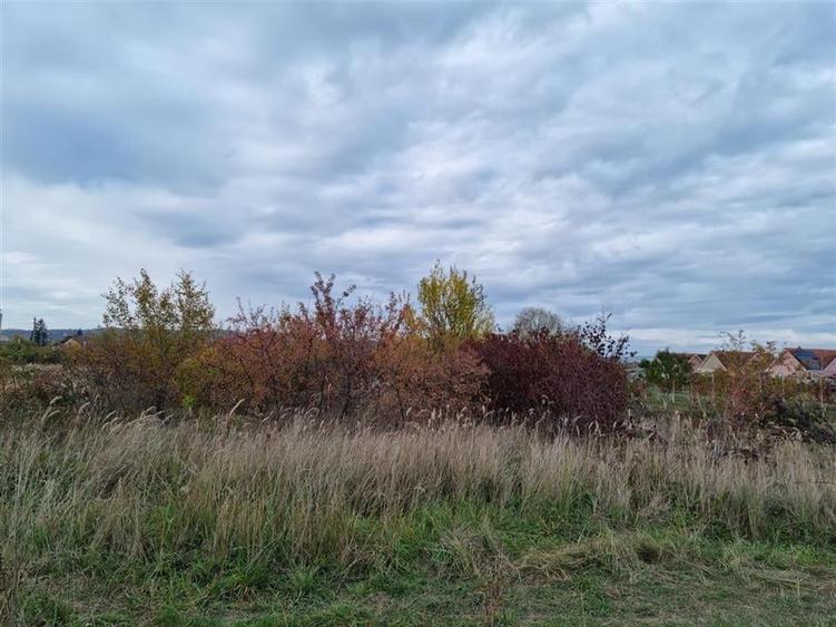 RECO teren intravilan 705 mp Osorhei - 5