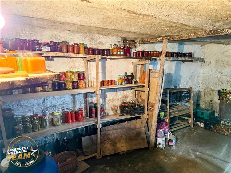 Ansamblu:doua case+anexe+domeniu de 10.101mp, Intorsura Buzaului,Covasna: FILM& - 24