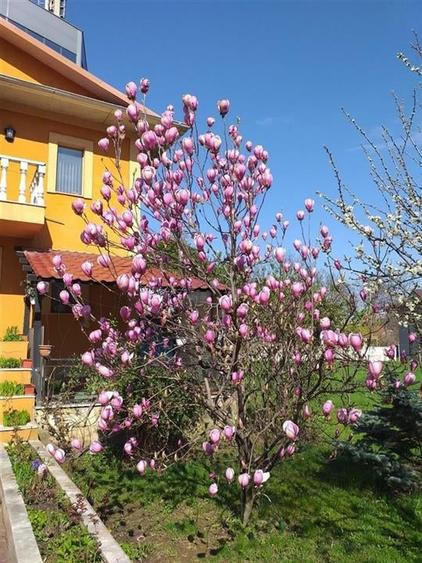 CASA DE FAMILIE in zona rezidentiala ultracentrala Onesti DE VANZARE IN EXCLUSIV - 3