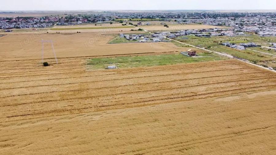 Teren Intravilan In Rate Sf. Ana - Com. Berceni | curent | #UG25 - 4