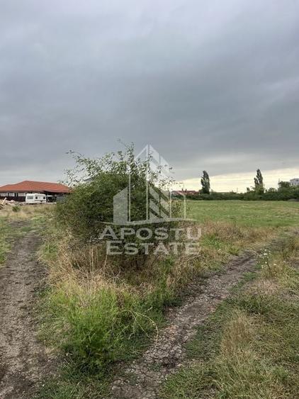 Parcela 707 mp in Sacalaz langa cartierul Primaverii - 1