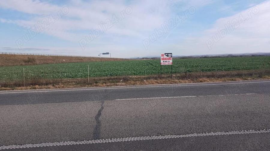 Vindem teren intravilan Biharia - 4