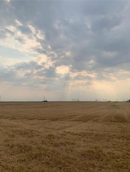 Vanzare Teren Intravilan Tarla 11 Stefanesti DJ200 - 6