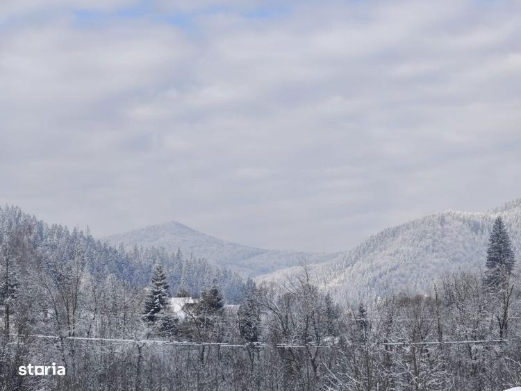 Teren intravilan, 22600mp, zona Manastirea Sucevita - 1