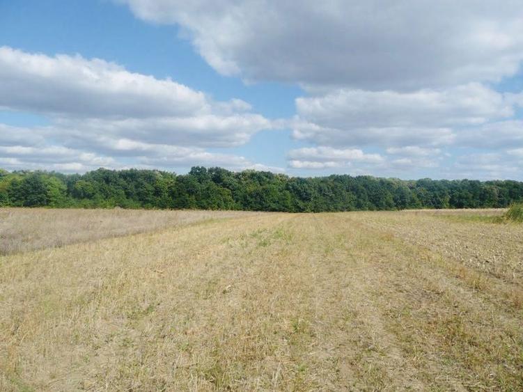 Teren intravilan Iasi Centura Miroslava Valea Ursului Uricani Gaureni - 5