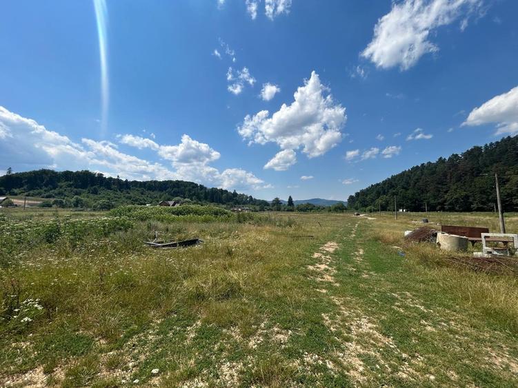 Teren intravilan de vânzare – 1000 mp – Cristian, județul Brașov - 8