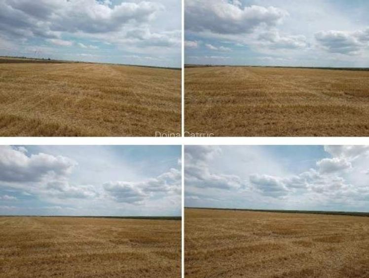 Teren agricol extravilan Frumusani 22810 mp