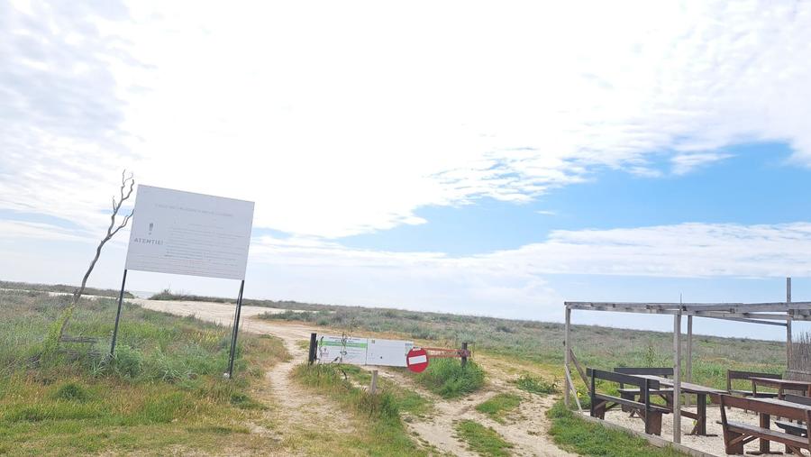 TEREN INTRAVILAN PE MALUL MARII 1.500 MP. IDEAL CONSTRUCTII TURISTICE RESTAURANT - 15