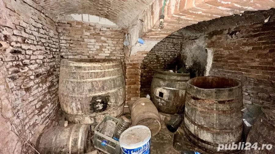 Casa boiereasca cu 3 camere, teren 1500mp + gradina 500mp - 8