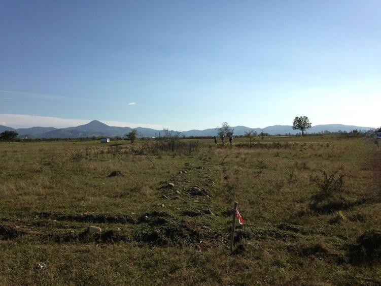 Teren extravilant Negresti-Oas - 8