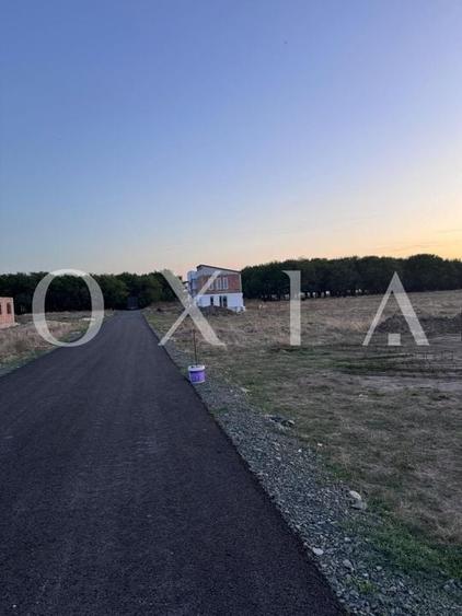 OX674 Teren intravilan + Proiect, in Covaci - 1