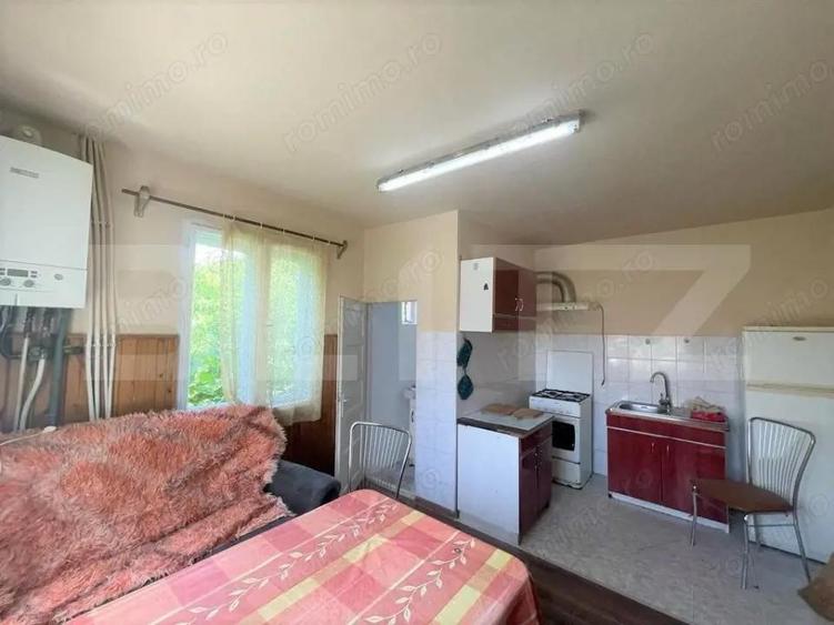 Casa individuala, 140 mp, curte, parcare, zona Eremia Grigorescu - 5