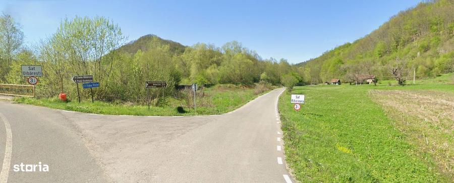 Teren intravilan de vanzare 5735 mp Ribita - 1