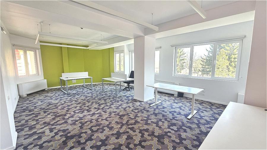 Spatiu de birouri de inchiriat - Str. Emil Racovita, cartier Gruia - 2
