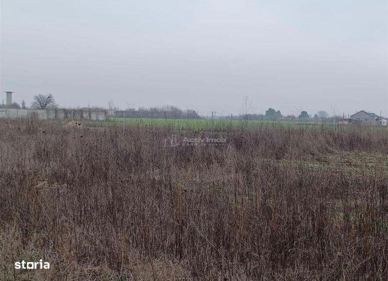 Teren 1.860 mp Corbeanca -Ilfov - 4