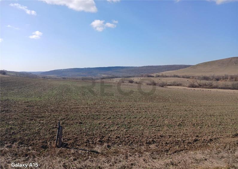 RECO teren Mierlau - 5