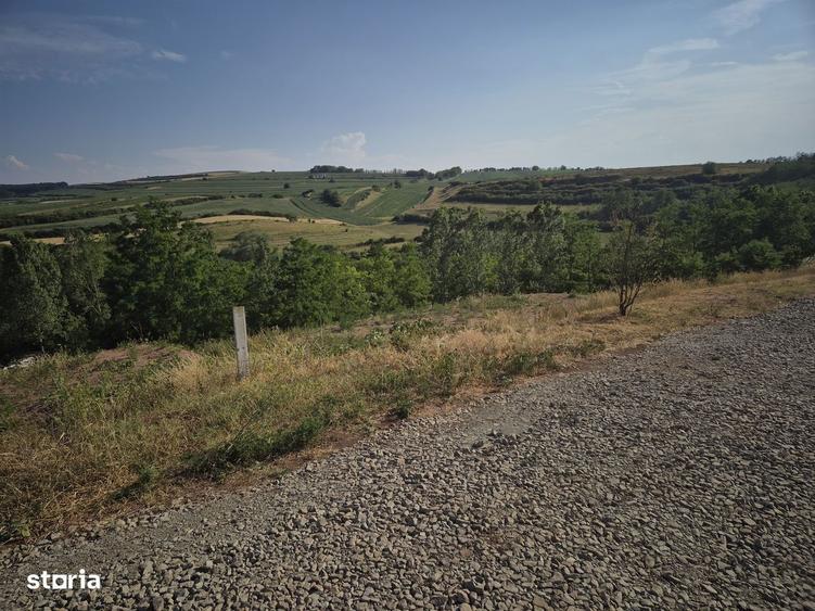 Teren de vanzare, cu utilitati, in Ciugud- Teleac - 2