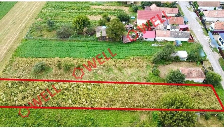 Teren intravilan de vânzare în Ilieni! - 3