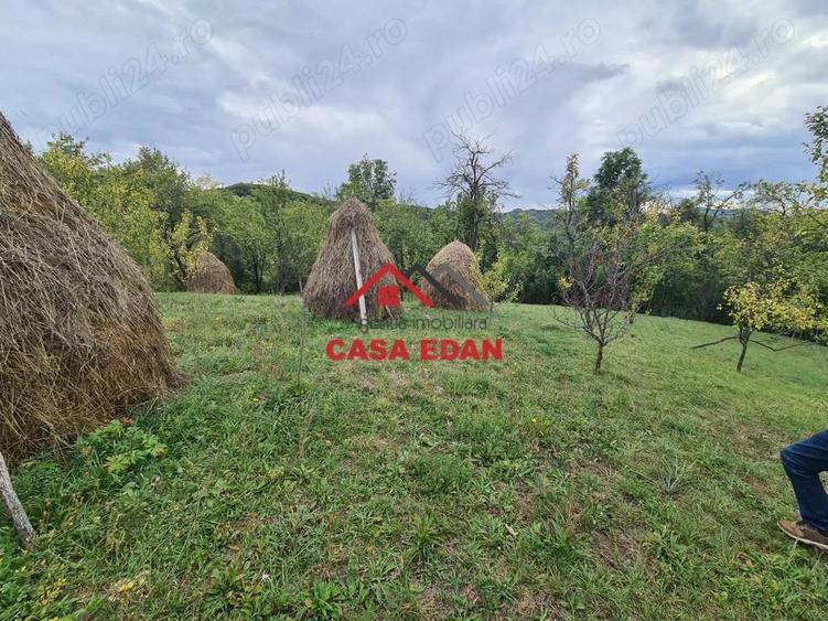 Teren intravilan in Sotrile--1671m--13e - 4