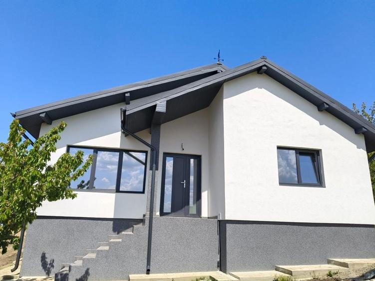 Vila casa Tomesti - 8