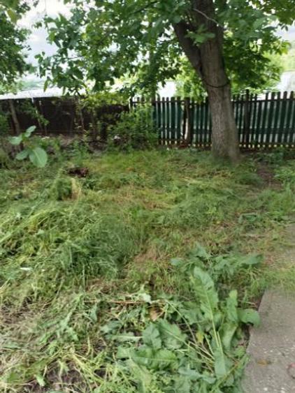 Casa bătrânească pe Malul Garlei Moara Vlasiei 2  - 1