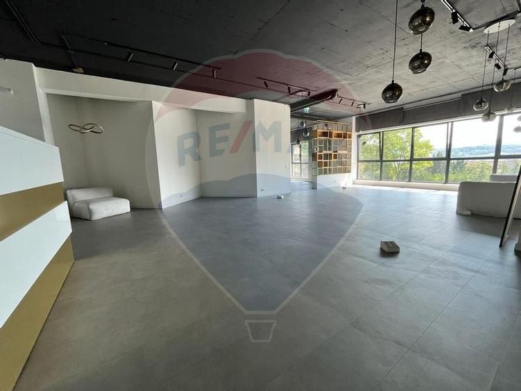 Spatiu comercial Vanzare cu Chiriasi | Taietura Turcului - 2