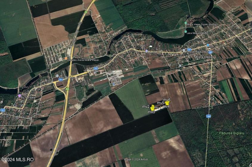 Moara Vlasiei - langa Padurea Biglaru, 11.884 mp, deschidere 40 ml! - 15