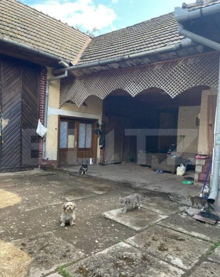 Doua case + anexa, teren 1655mp, Vama Buzaului (Acris) - 3