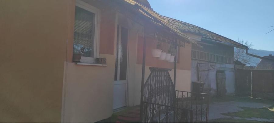 Casa Dobrogeanu Gherea - 1