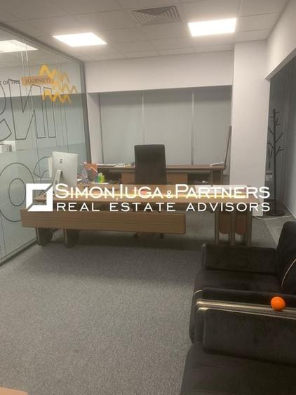 Birouri de inchiriat Brancusi - 10