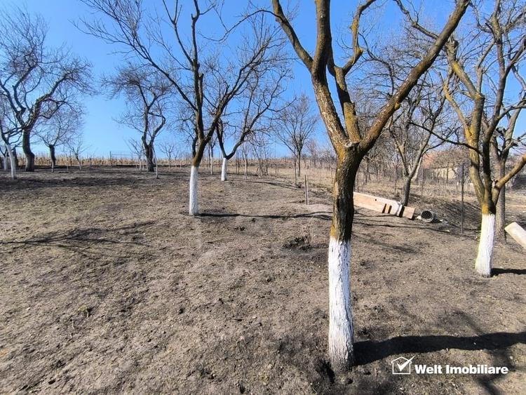 Casa individuala, 4 camere, 1000 mp teren,  Valea Chintaului, Cluj-Napoca - 28