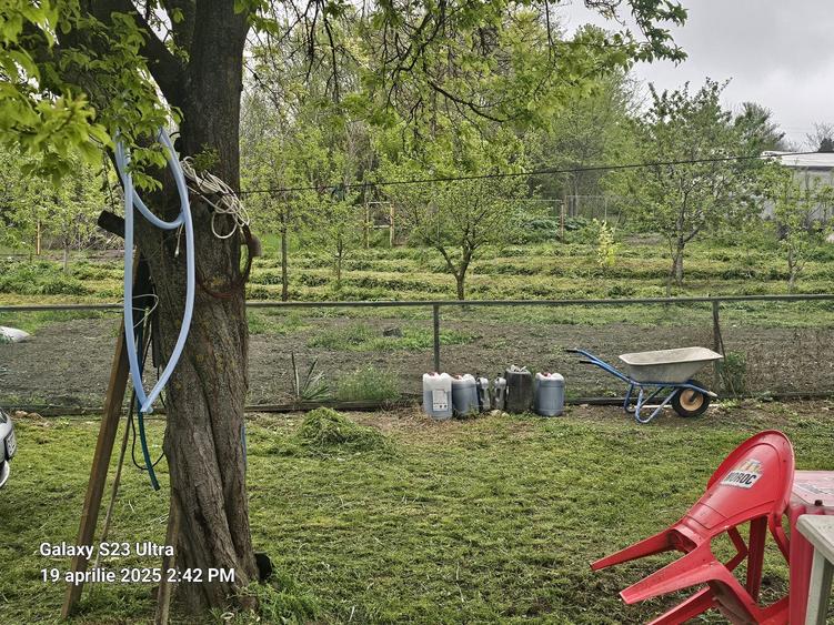 Colt de rai refugiul tău verde în inima naturii - 5