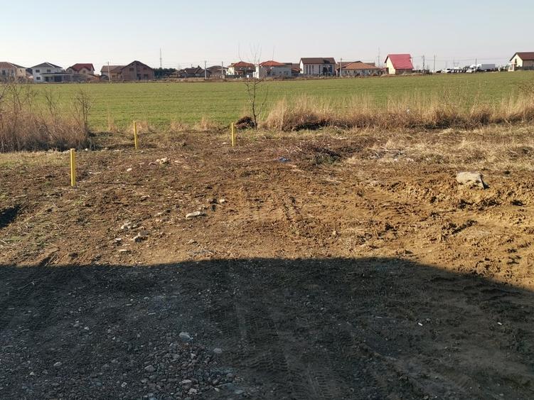 Teren in Dumbravita 110000 euro - 3