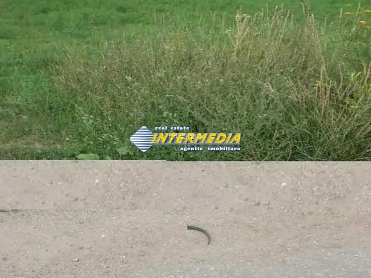 Teren Intravilan 600 mp. de vanzare Alba Micesti parcele diverse
