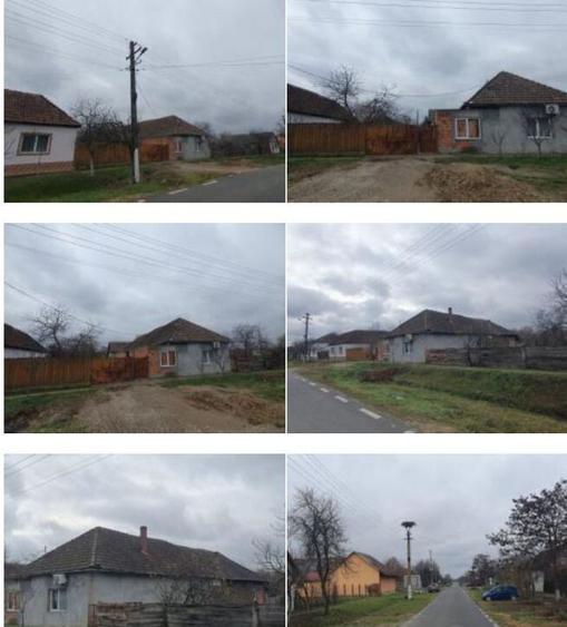 Cota 1/2 din casa -Loc. Sintea Mare, jud. Arad - 3