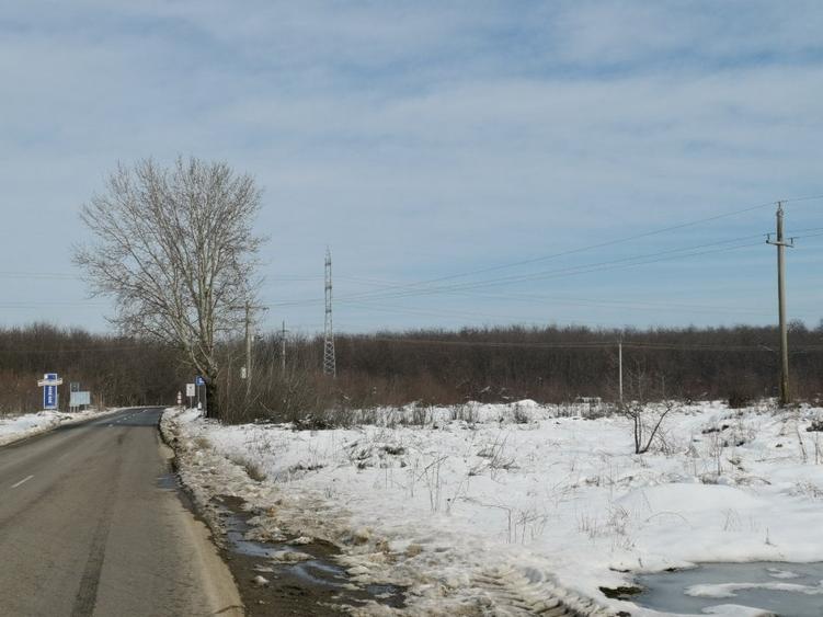 Teren langa padure - Sabareni - 4